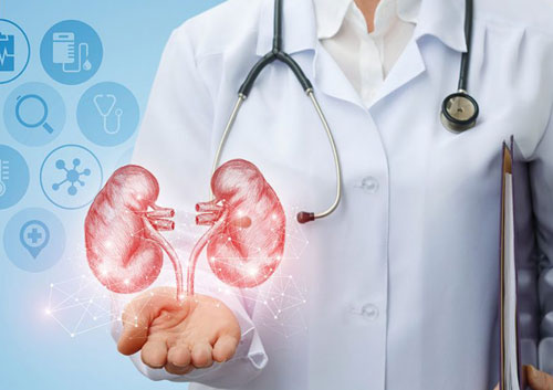 specialities - urology-nephrology